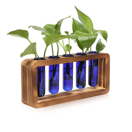 Glass Plant Propagation Station with 5 Test Tubes Colorful Planter Vase Birthday Gifts for Women in Wooden Stand