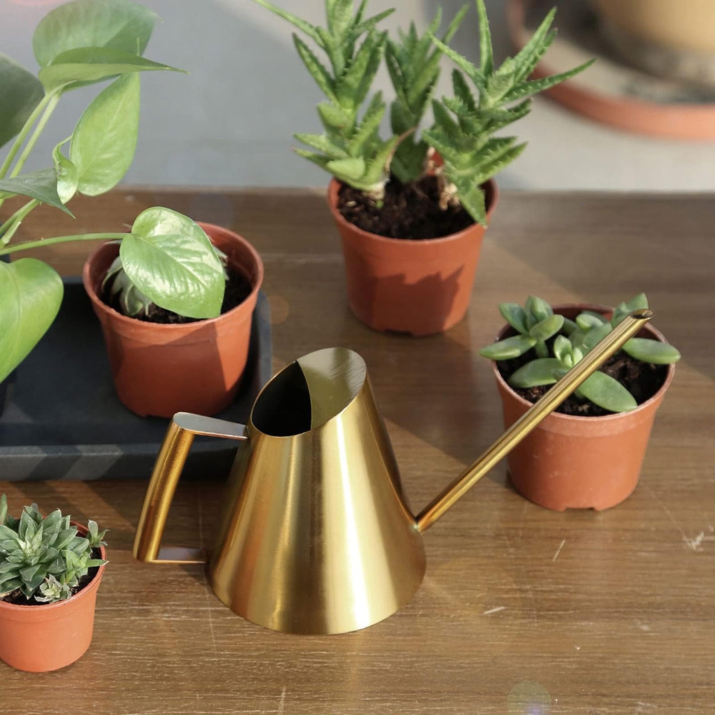 50.8 oz Watering Can Indoor Plants Stainless Steel Plant Waterer Watering Pot Sprinkle Pot Garden Flowers Plants Flower Tool Gold Watering Can with Long Spout (1500ml)