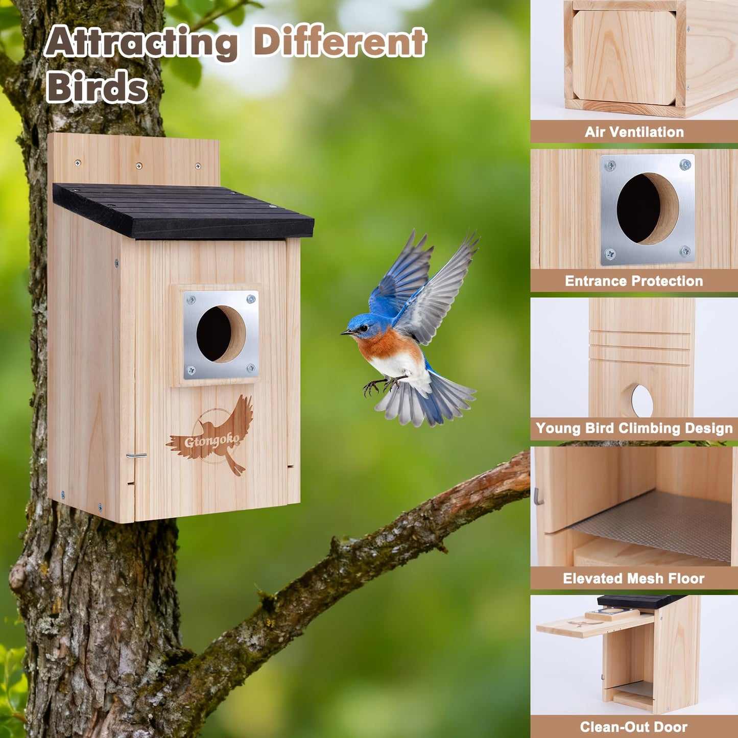 Gtongoko 2 Pack Bird Houses for Outside, Bluebird Nesting Box with Metal Predator Guard, Wooden Birdhouse Kit for Chickadees, Swallows & Finches, Assembly Required