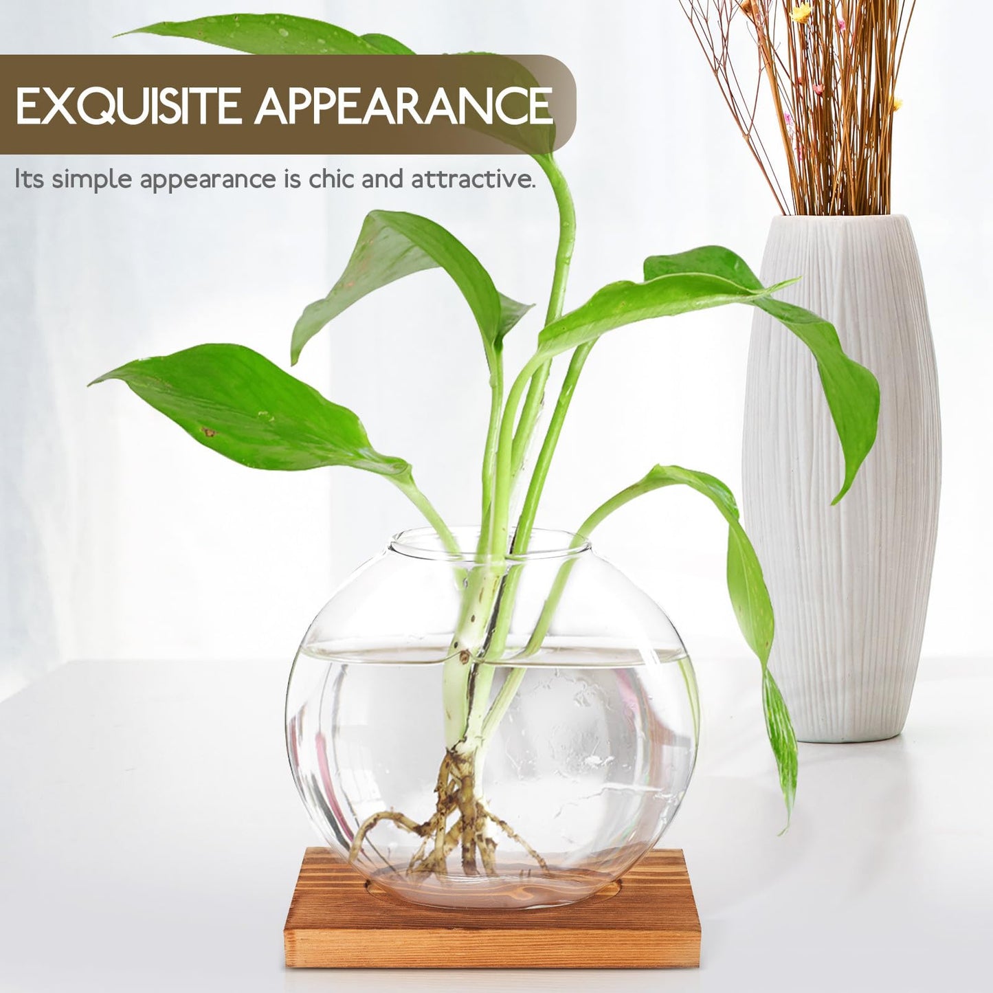 BESPORTBLE Hydroponic Glass Plant Vase with Wood Base, Glass Propagation Station for Desk Decorations, Indoor Home and Office Terrarium Planter for Greenery Display