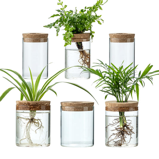 Plant Propagation Stations for Plants, 2 Size Glass Propagation Vases for Propagating Hydroponic Indoor Home Office Decor, Tabletop Glass Planter Gift for Plant Lovers (6)