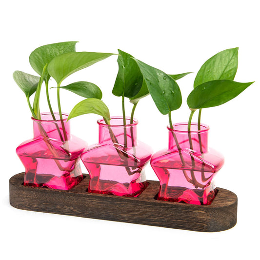 XXXFLOWER Plant Propagation Station with Wooden Stand，Air Plant Terrarium Starter Kits Star Vases for Flowers Plant Cutting Rooting Pots Indoor Hydroponic Glass Planter for Plant Lovers,3 Jars(Pink)