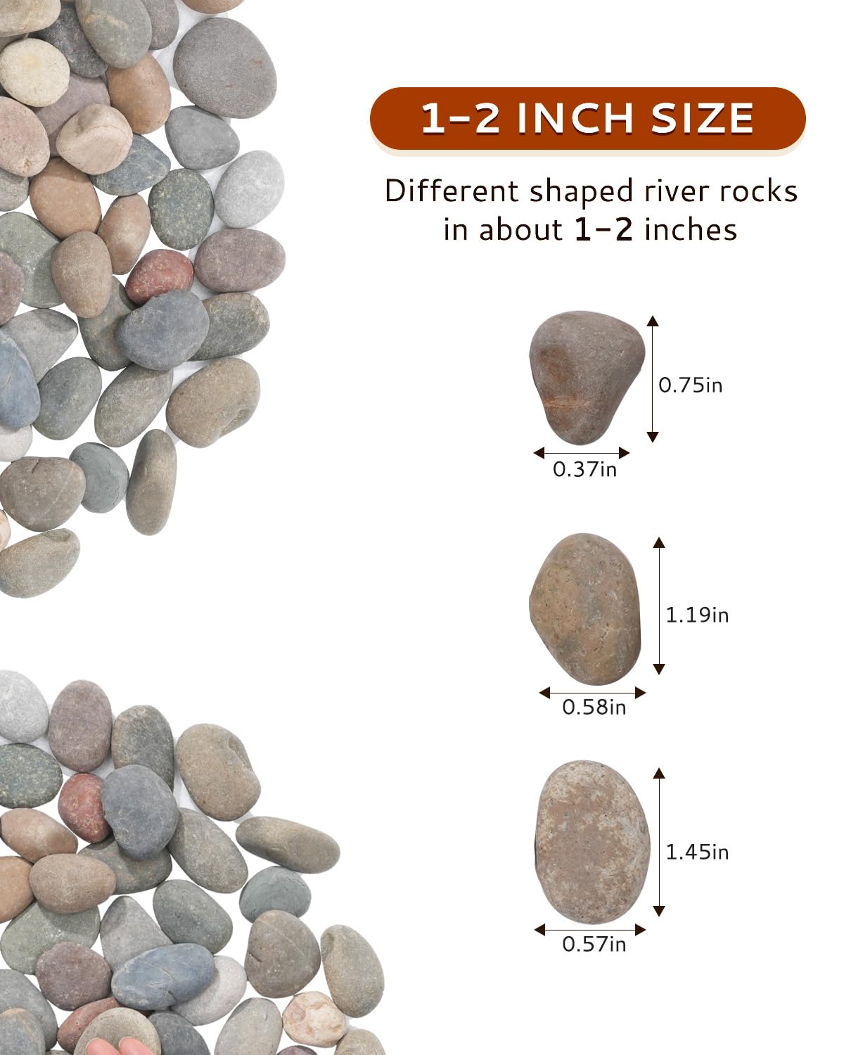 FAHAXIKI Natural River Rocks-5 lbs of Pebbles and River Stones,1-2 Inch Plant Rocks for Landscaping,Garden Paving,Crafting,Walkways,and Outdoor Decorative Stone,Mexican Beach River Rocks