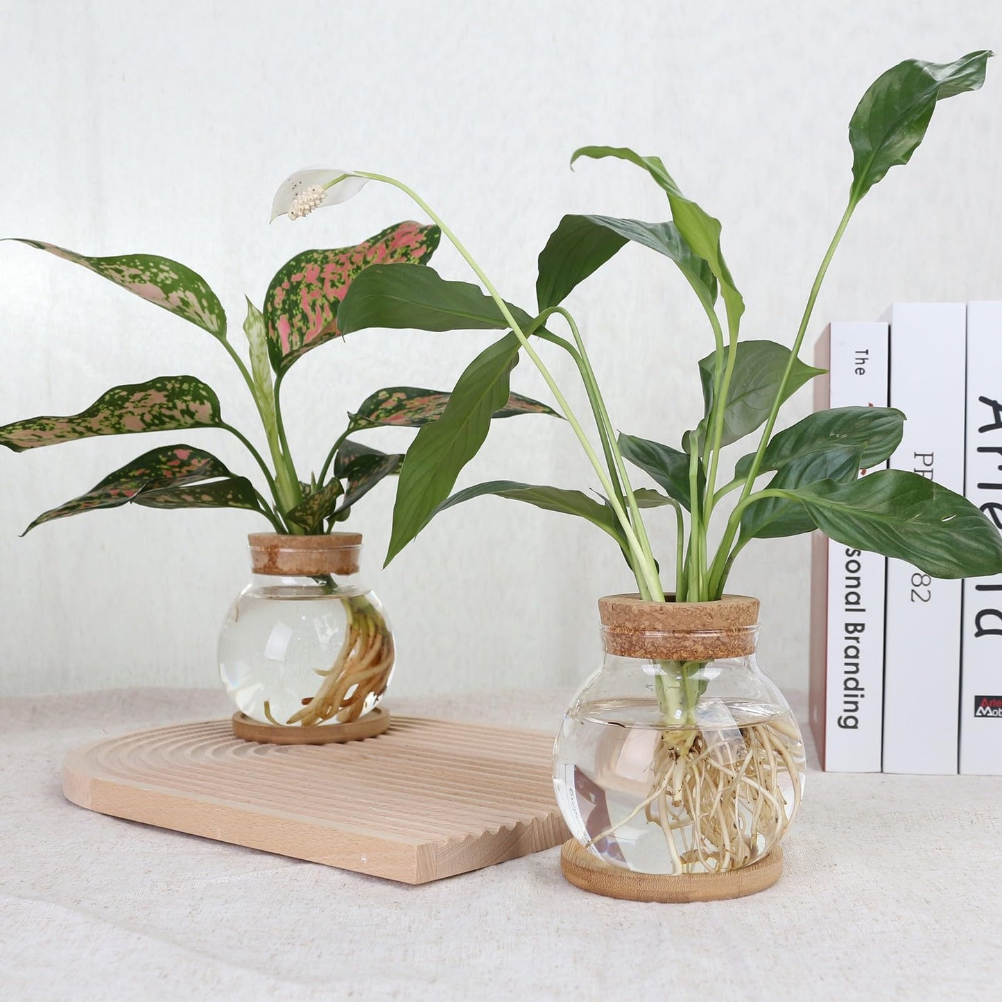 CHPINDAM Plant Propagation Station,Hydroponic Glass Container Vase Jars, with Wooden Saucer for Desks, Houses, Garden Decorations, Home Kitchen Decorations and Gifts for Plant Lovers (6)
