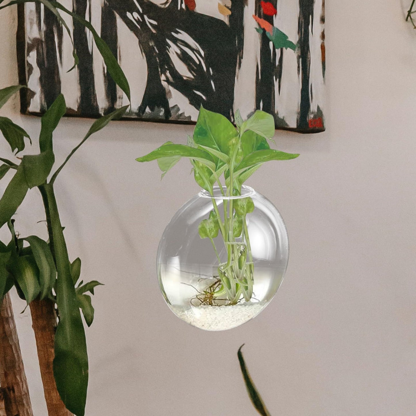 HOOWIFFY Wall Hanging Glass Vase Hydroponic Planter Terrarium Glass Pot for Indoor Plants Balcony Decor Home Gardening