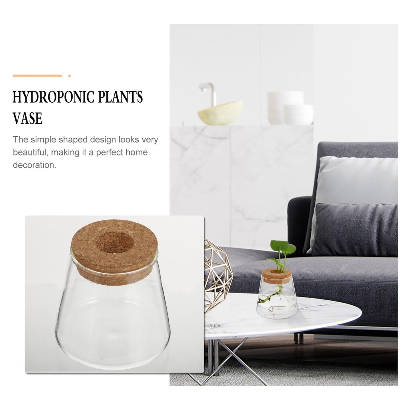 GRIRIW 2pcs Hydroponic Plants Vase Glass Planter Small Desktop Terrarium Container for Water Plant Propagation Home Office Décor