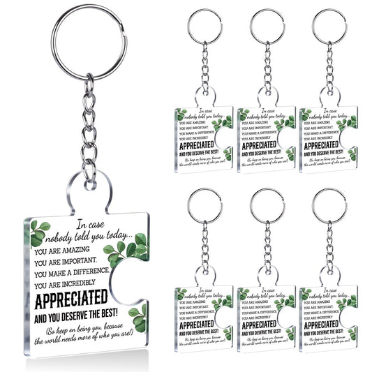 6 Pcs Inspirational Gift Set Appreciation Gifts Bulk for Coworkers Employee, Thank You Gifts for Team Staff Teachers Nurse Work Bestie Motivational Office Acrylic Puzzle Piece Keychains, Multicolor