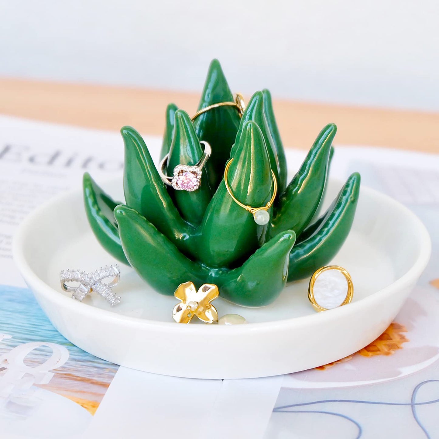 PUDDING CABIN Succulent Ring Holder Dish Cactus Gift for Women Birthday Gift for Mom Friend Bridesmaid Wedding Christmas Valentines Housewarming Gift, Decorative Cacti Decor for Home Gifts