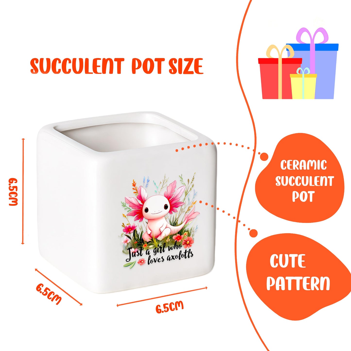 BJDAMAI Axolotl Succulent Planter Flower Plant Pot Small, Gifts for Women Teens Girls Kids, Axolotl Lovers Themed Stuff Accessories Things Decor Merch, Home Office Table Desk Decoration!