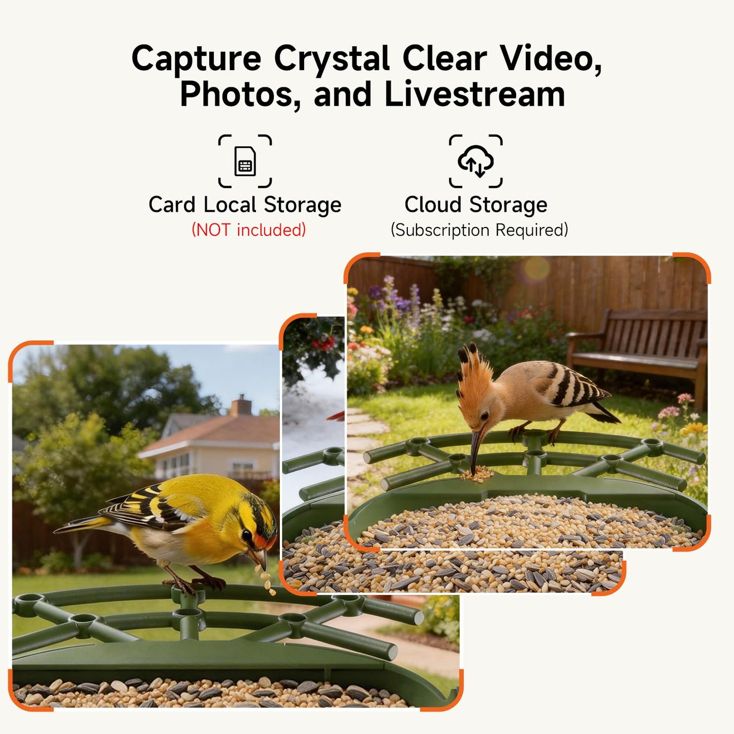 CINMOORE Smart Bird Feeder with Camera - Solar Powered, AI Bird Recognition, 2.4G WiFi 2.5K HD Video Live Stream, Full Color Night Vision, Instant Arrival Alerts, Weatherproof Bird House for Outside