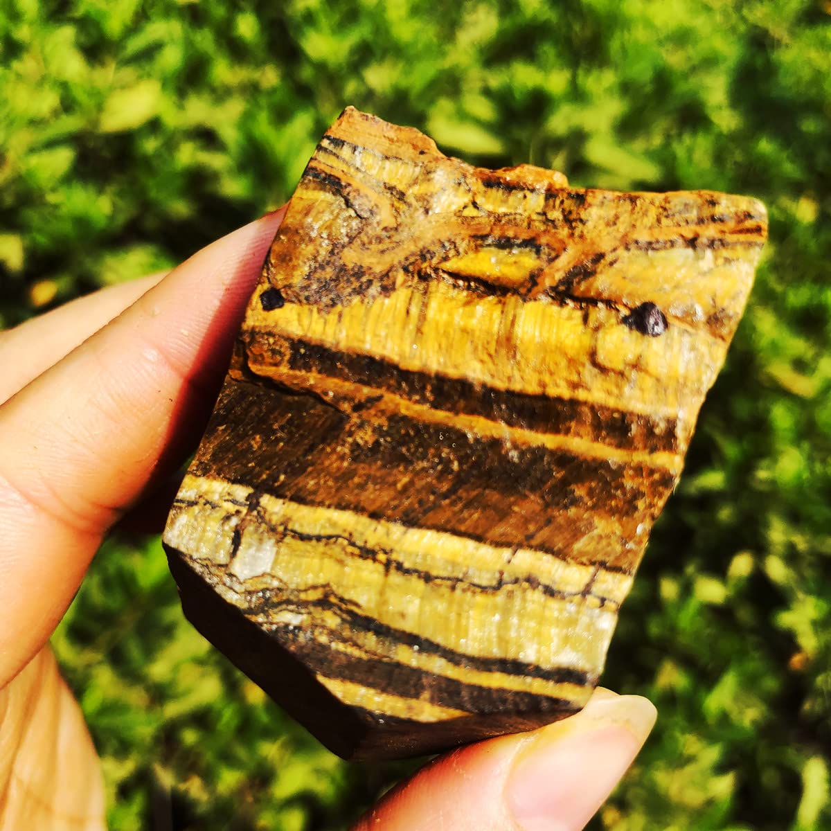 Simurg Raw Tiger Eyes Stone 1lb ''A'' Grade Tiger Eyes Rough Crysta Rocks ‌Aroma Stone for Cabbing, Tumbling, Cutting, Lapidary, Polishing, Reiki Crystal Healing