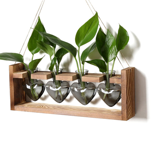CYZglass Plant Propagation Stations Heart Plant Terrarium Kit Gift for Women Plant Lover Glass Vases