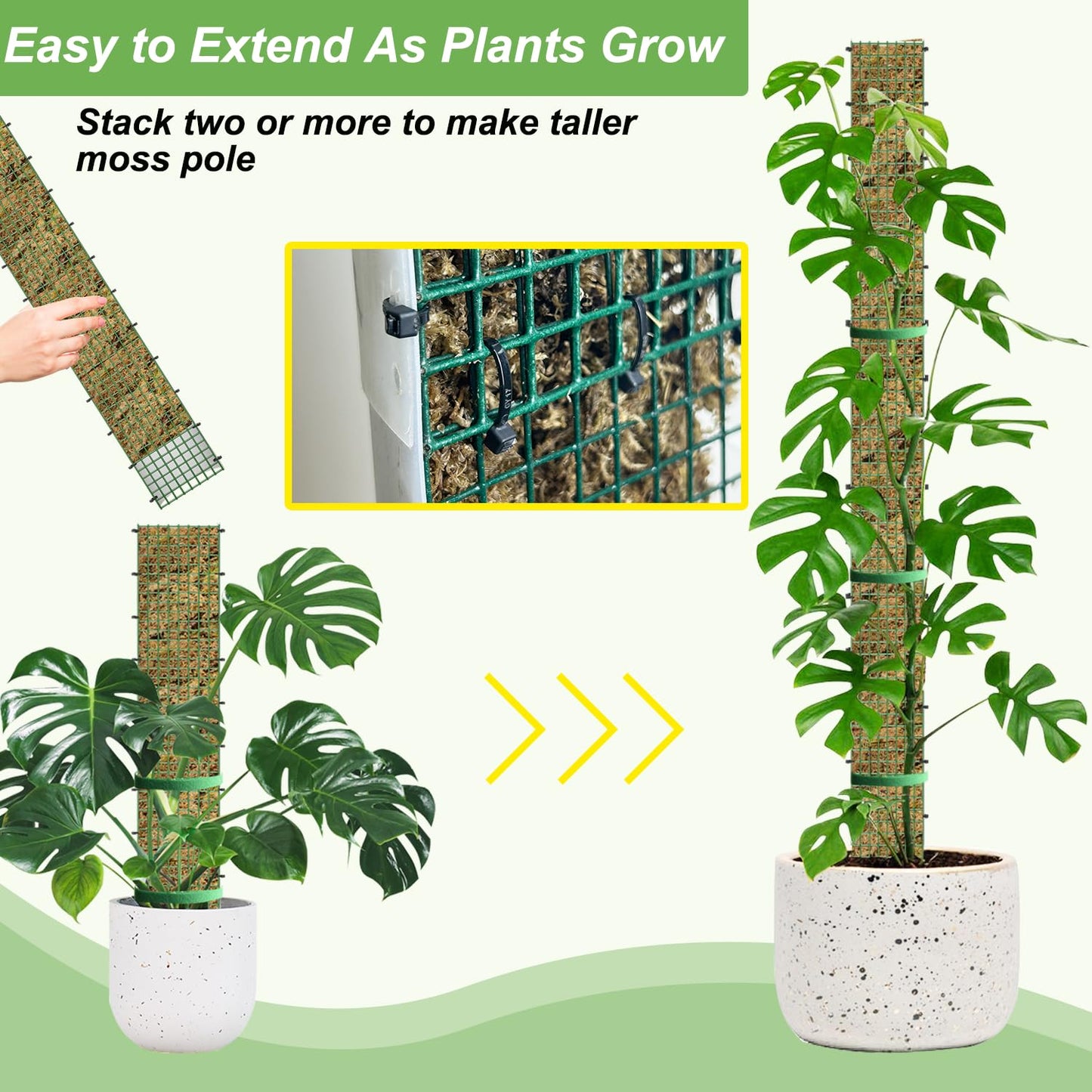 HOLANHING 60"/40"/24" Metal Moss Pole, D Shape Sphagnum Moss Pole, Moss Poles for Climbing Plants, Monstera, Indoor Climbing Plants(4Pcs 40")