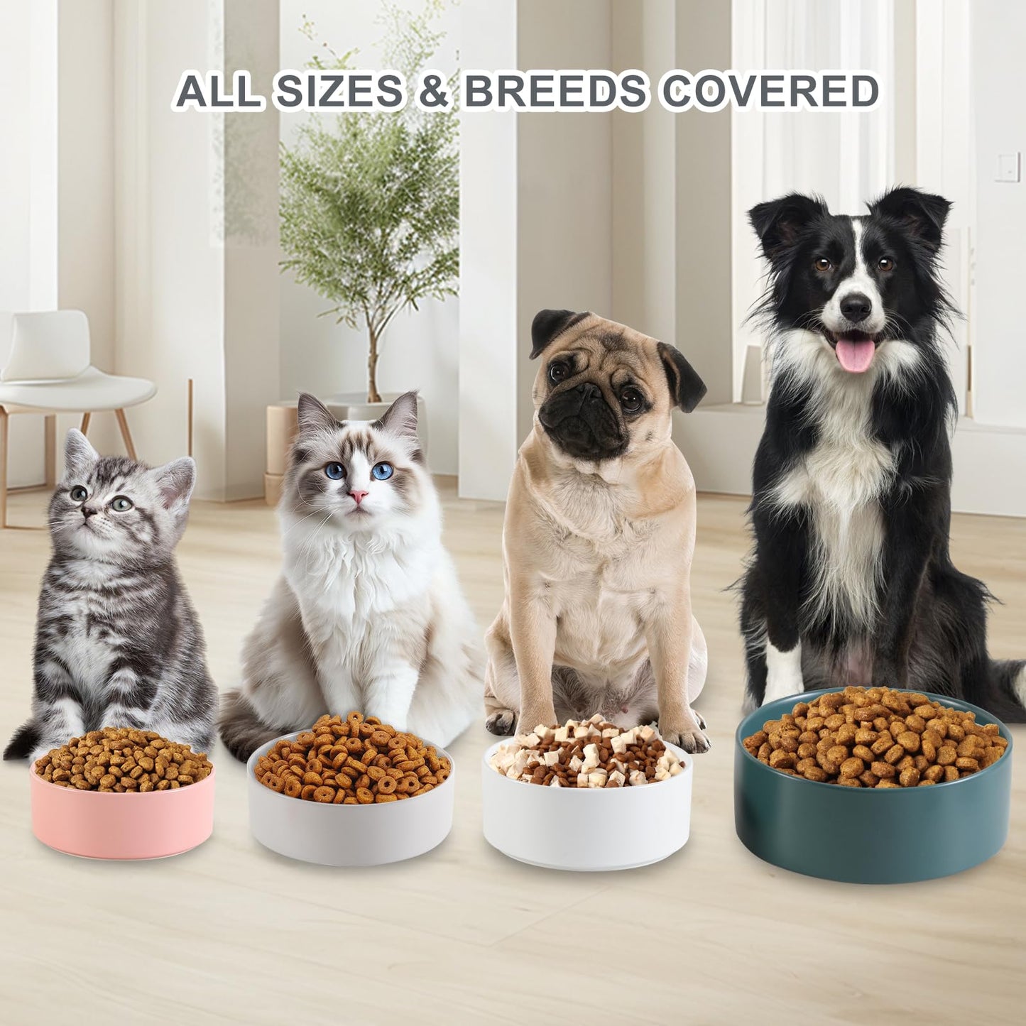 Ceramic Dog Bowl for Food and Water - Pet Feeder Bowl for Small to Medium Dogs and Indoor Cats - Heavy Ceramic Feeding Dish with Non Slip Base - Dishwasher & Microwave Safe - 6 Inch - 2.1 Cups - White