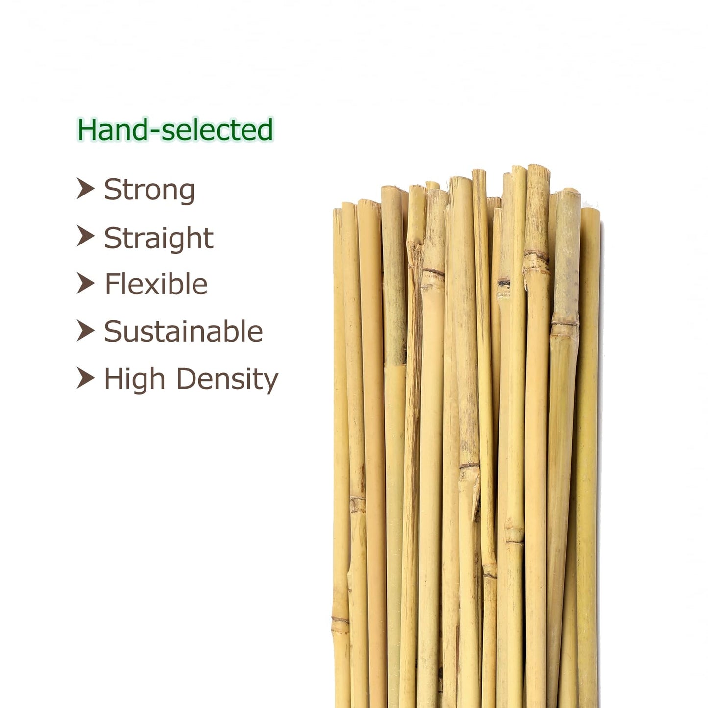 Cambaverd Bamboo Stakes for Plants, Natural Bamboo Plants Stakes 5 Feet, Garden Stakes for Climbing Plants Tomatoes, Beans, Potted Plants - 20Pcs Bamboo Poles (58in, Approx 5FT)