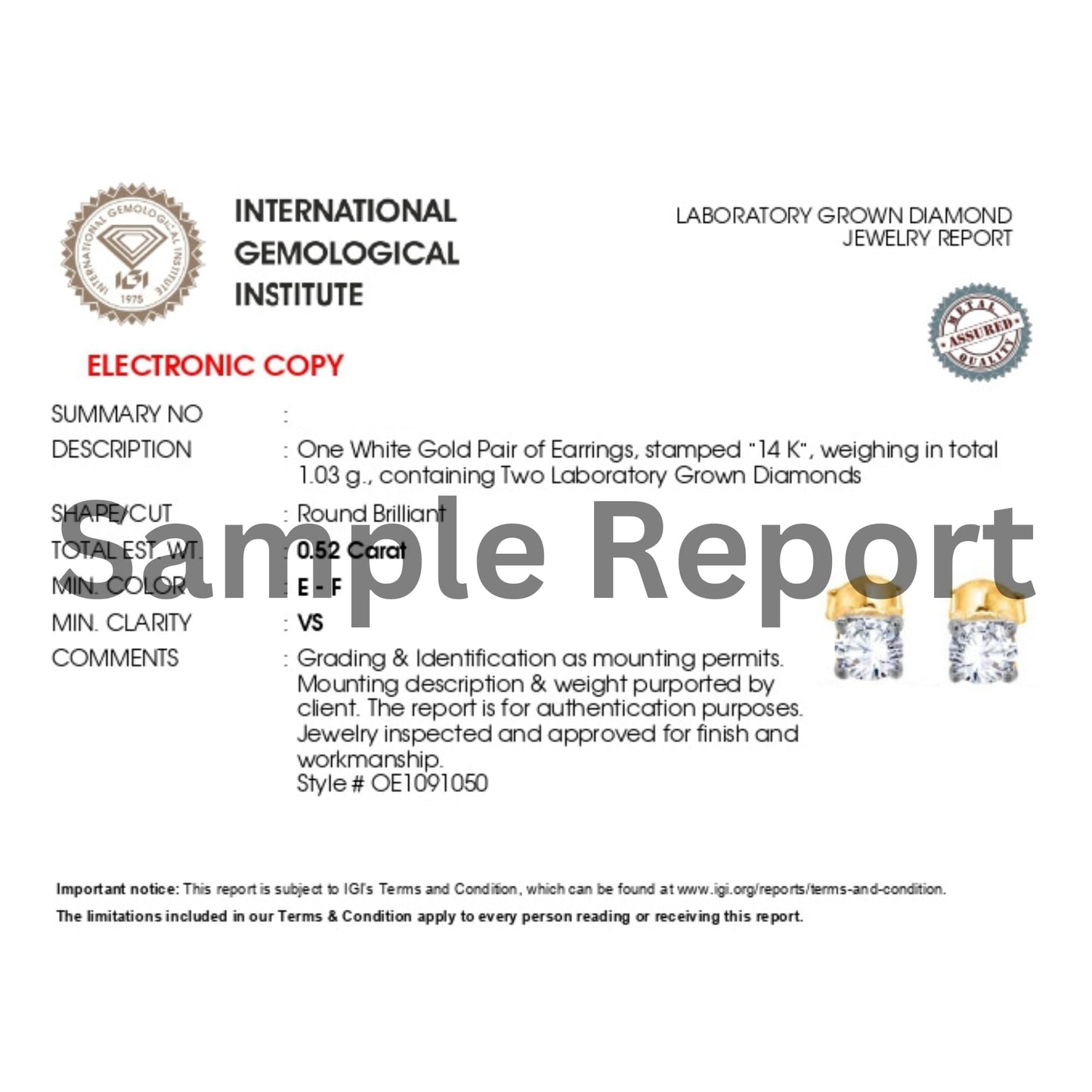 Shop QSE 1 Carat 950 Platinum Lab Grown Diamond Stud Earrings for Women Pushback IGI Certified Jewelry (E-F Color, VS1-VS2 Clarity)
