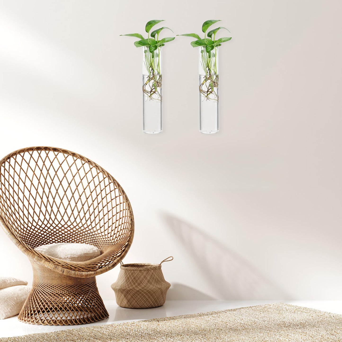 Balacoo Wall Hanging Glass Cylinder Vases for Plant Propagation, Hydroponic Holders, 2pcs Large Tube Glass Terrarium Holders for Home and Office Décor
