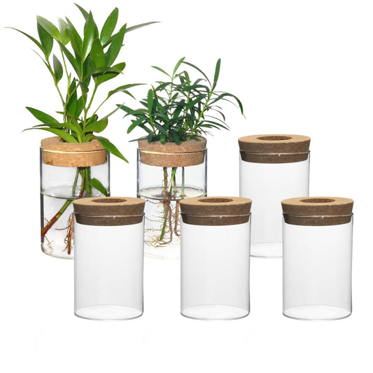 wangsdjy Separated Desktop Glass Flower Vases - Ideal Plants Propagation Stations for Living Room, Bedroom Decoration,Home Decor (6)