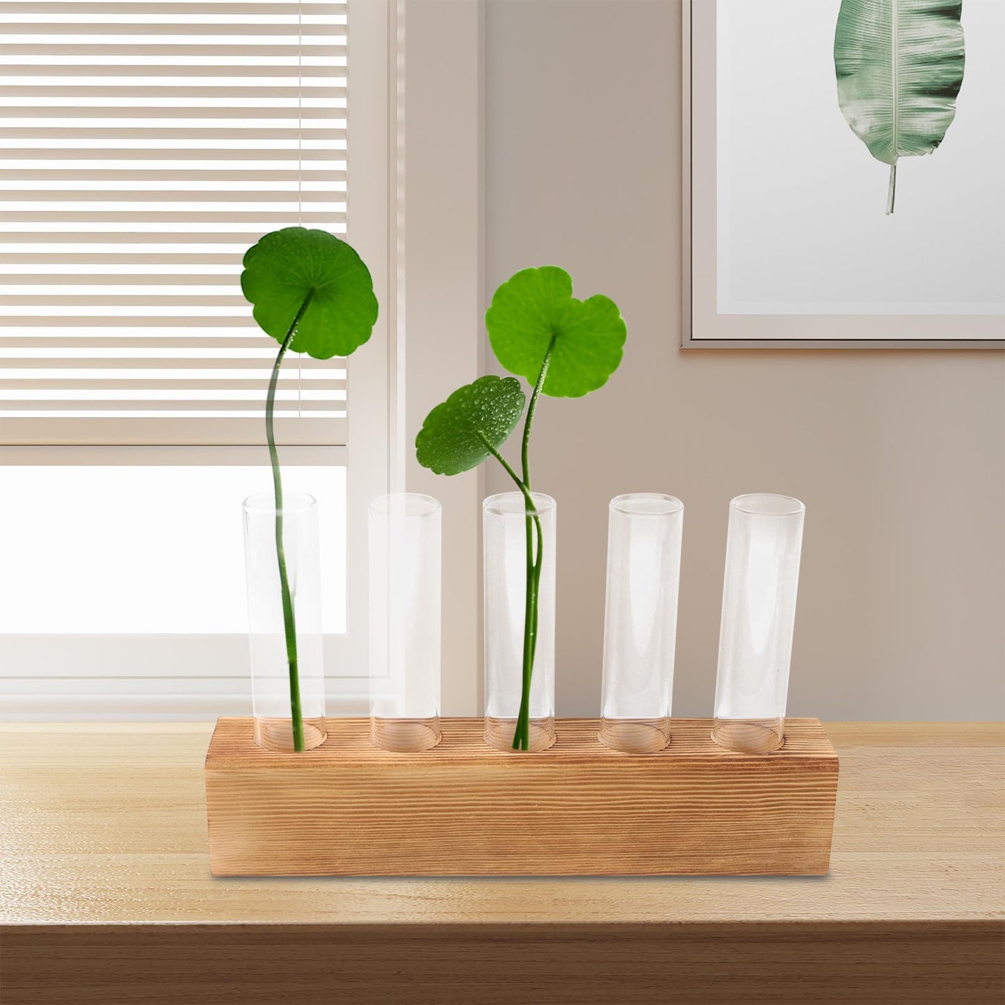 Gadpiparty Hydroponic Plants Vase with 5-Hole Glass Test Tubes and Wooden Stand, Water Propagation Station for Indoor Plant Growth and Desktop Terrarium Decor