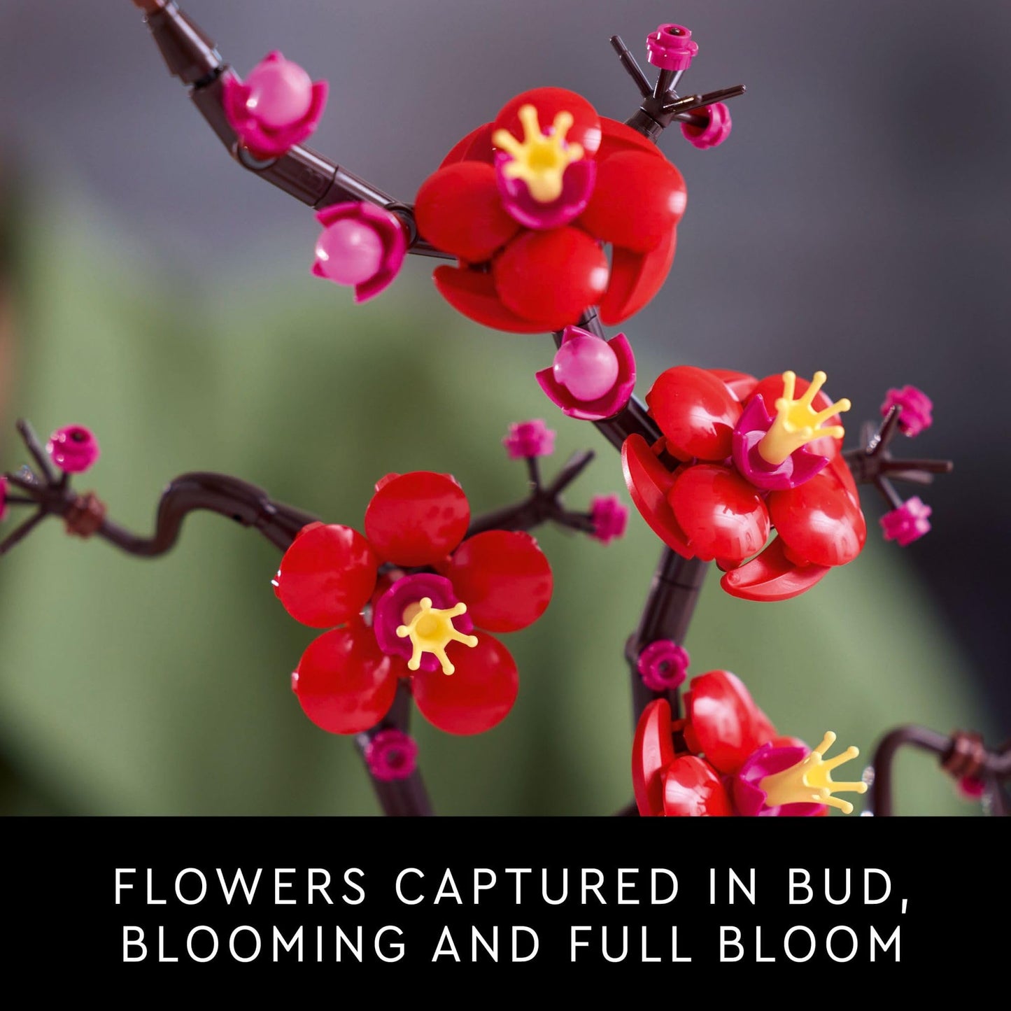 LEGO Botanicals Plum Blossom Building Sets for Adults - Artificial Flower for Dinner Table Centerpiece, Living Room Home Decor, Ages 18+ - DIY Craft Kits - Gift for Birthdays - 10369