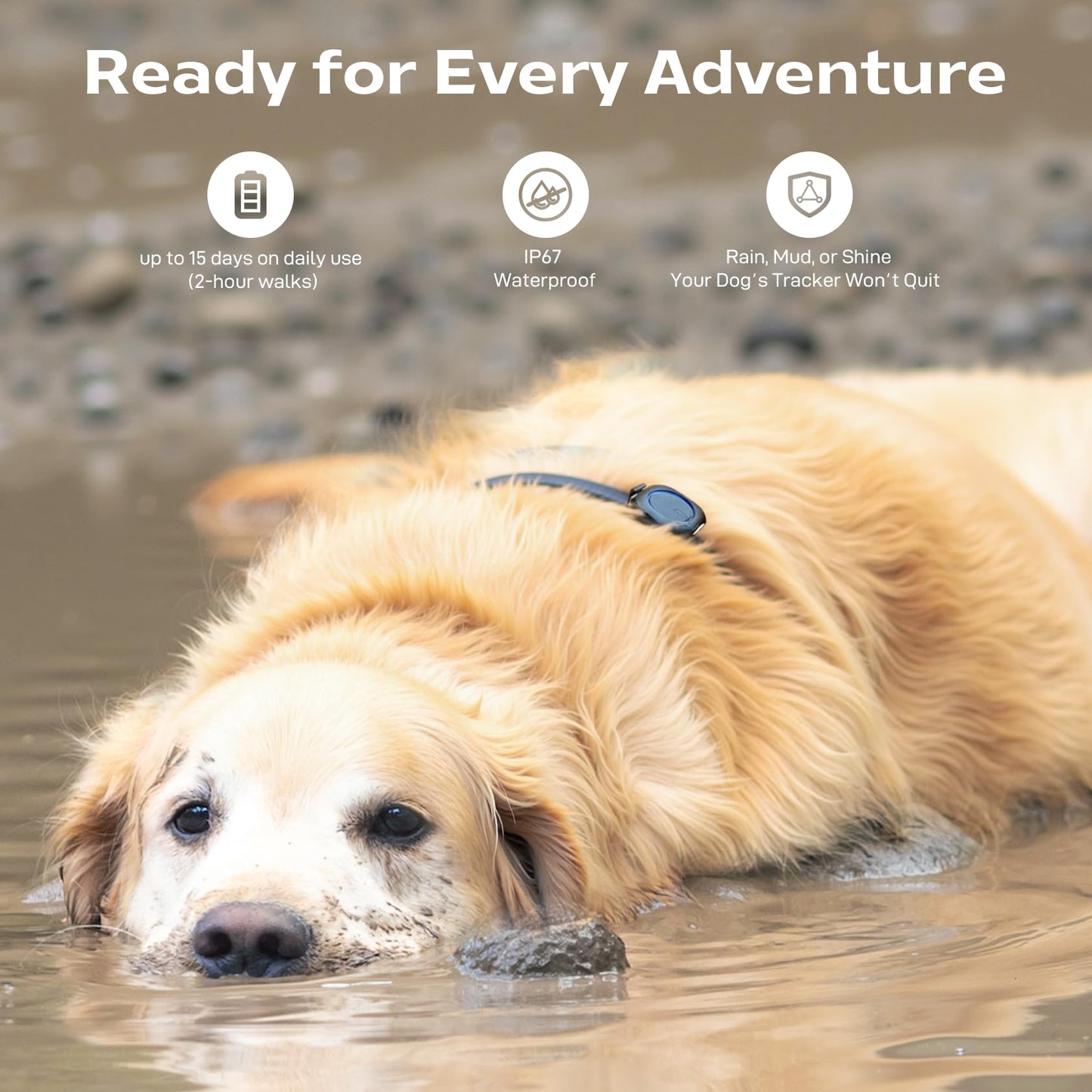 Aorkuler GPS Dog Tracker – Track Your Dog Up to 3.5 Miles Without Phone or Cell Signal | No App, No Monthly Fees | Ideal for Hiking, Rural & Remote Areas (Tracker 2)