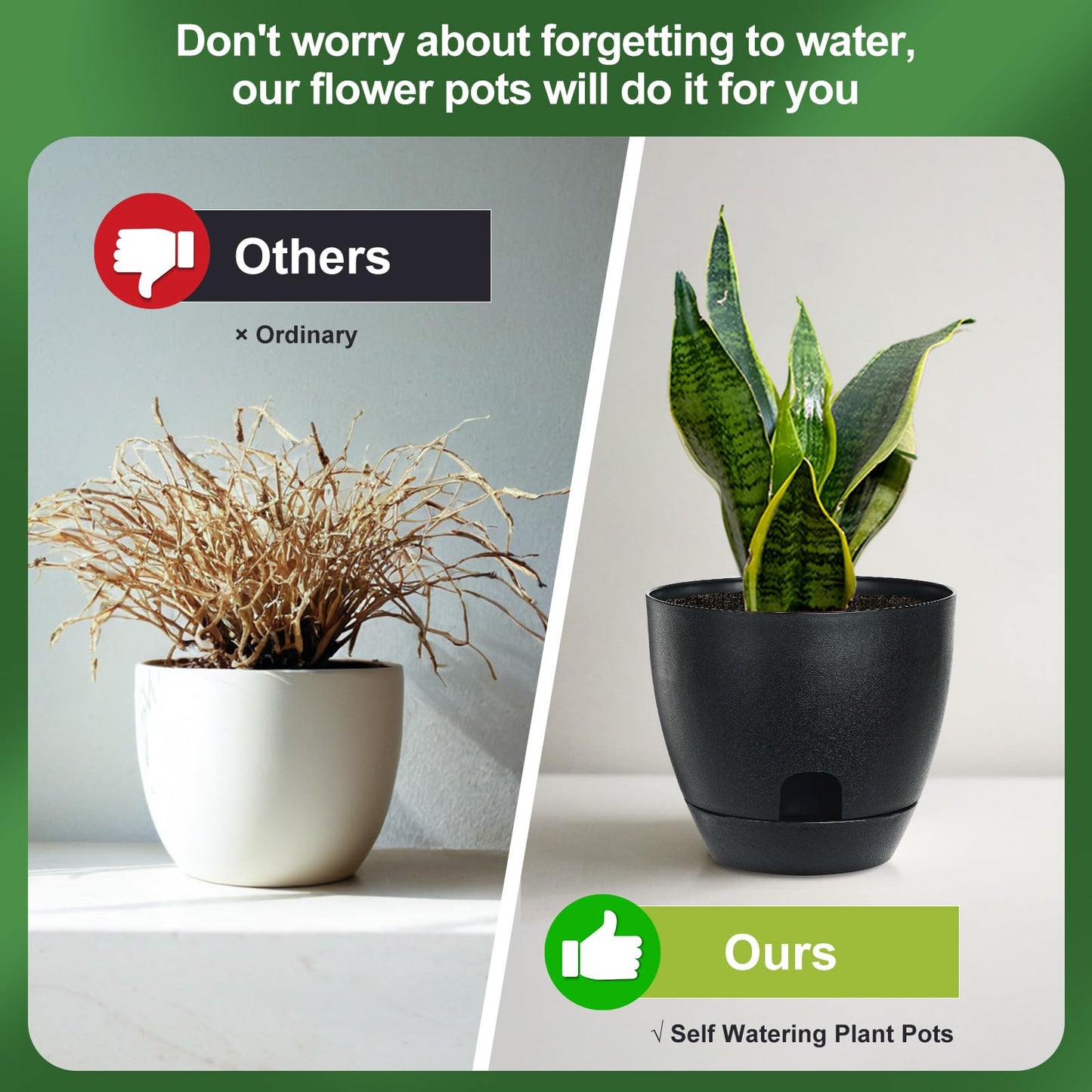 IWNTWY Self Watering Pots Set, 5 Pack 6 Inch Self Watering Pots for Indoor Outdoor Plants, Plastic Planter with Drainage Holes and Deep Reservoir for African Violet, Spider, Orchid