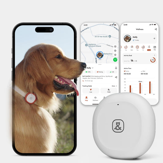 Automatic Dog Feeder for Large Dogs, 14L Capacity, 2.4G WiFi App Control, Dual Power Supply, Stainless Steel Bowl, and Molly&Cody GPS + Bluetooth Pet Tracker for Cats & Dogs – Real‑Time Tracking