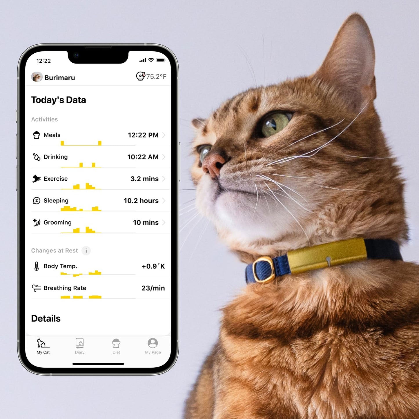 Catlog Health Tracker for Cats - Smart Cat Collar with Safety Breakaway Buckle for Indoor Cats, Wellness Alerts, Real-time Monitoring (Kimono (Sakura -Night-),XL)