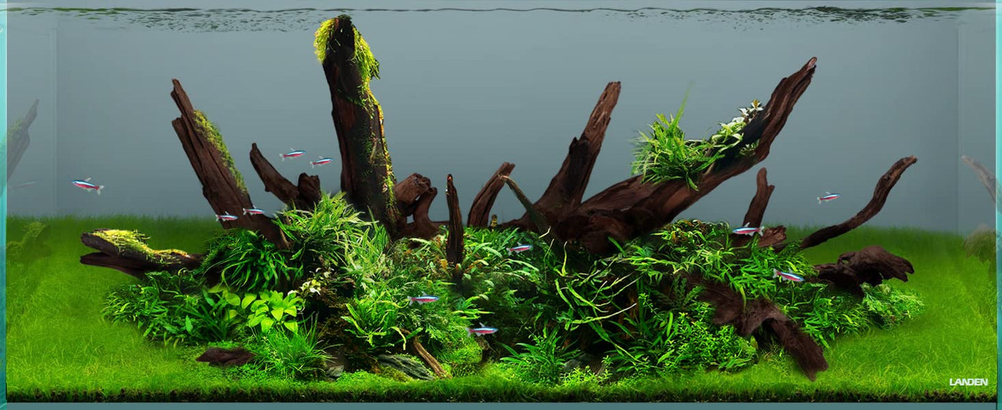 LANDEN Panna Natural Driftwood for Aquarium Decor Freshwater Fish Tank(12-16 inches, 30-40cm) 4pcs Terrariums Vivariums Reptile and Amphibian Enclosures Lizard Bearded Dragon Tortoise Various Shapes