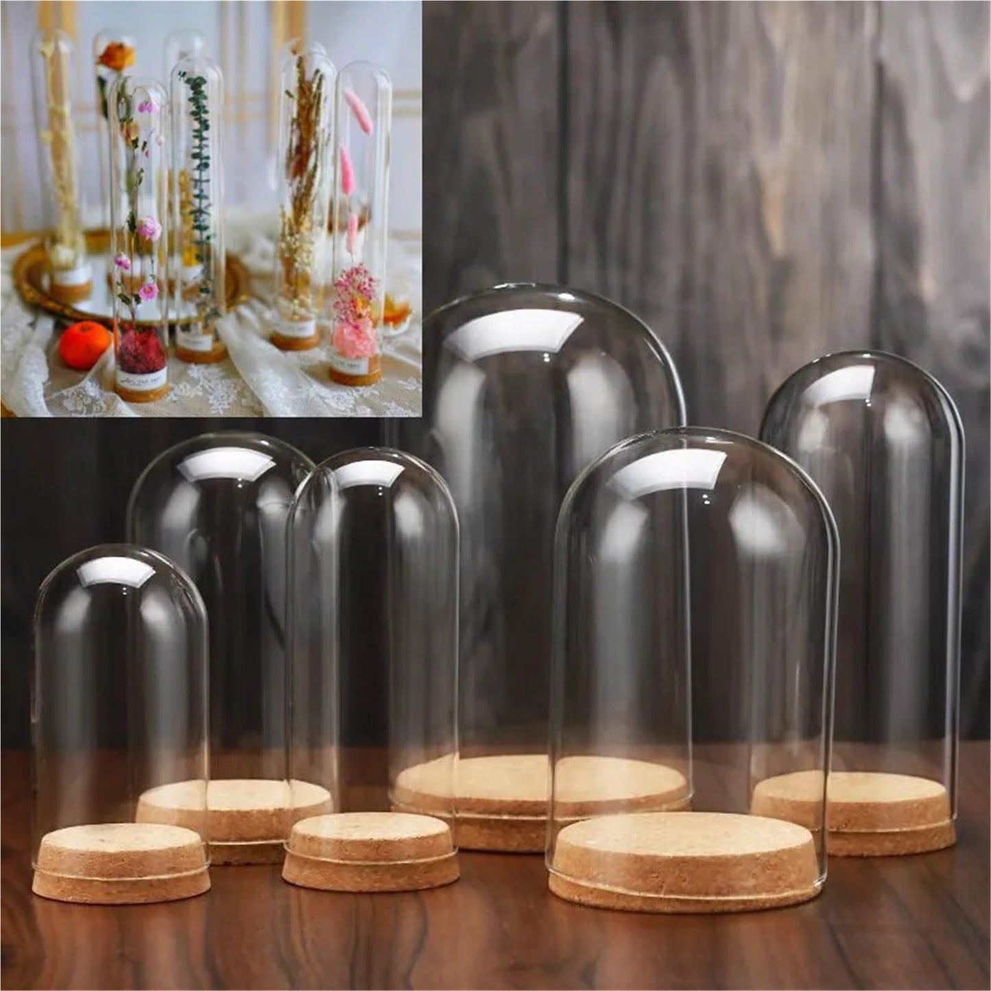 10X Da30mm Glass Bottle Terrarium Jar Cork Base Dome Dust Cover DIY Specimen Succulent Plant Micro Landscape Flower Vase Display(30x150cm)
