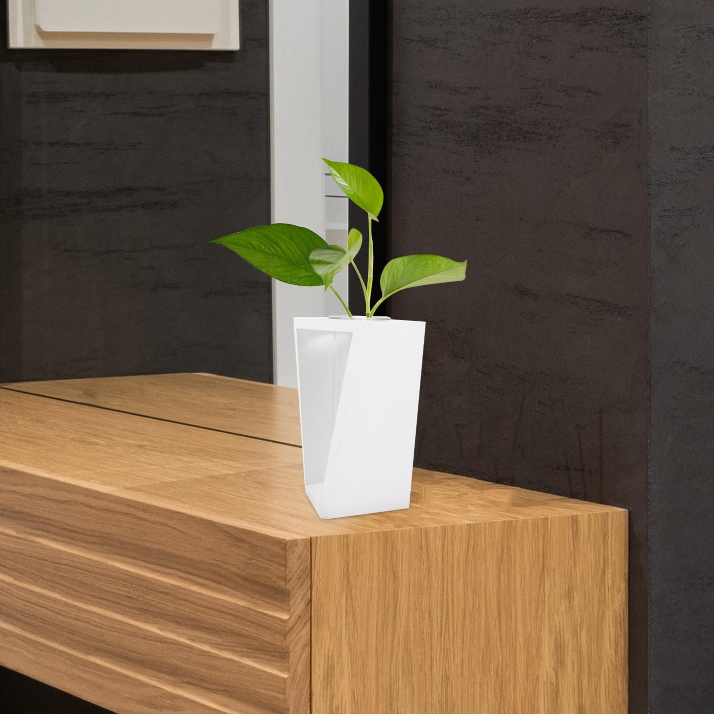 Toyvian Nordic Style Test Tube Glass Vase with Wooden Rack, Small Hydroponic Plant Terrarium for Home and Office Décor, White Frame Flower Vase for Propagation and Tabletop Arrangement
