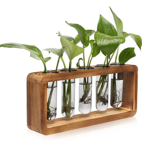 Glass Plant Propagation Station with 5 Test Tubes Colorful Planter Vase Birthday Gifts for Women in Wooden Stand