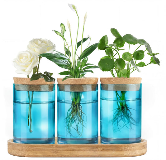 Dahey Blue Plant Propagation Terrarium Desktop Glass Planter Station Water Planting Glass Vase with Lid and Wooden Stand for Propagating Hydroponic Plants Centerpiece Office Home Garden Decor, 3 Pcs