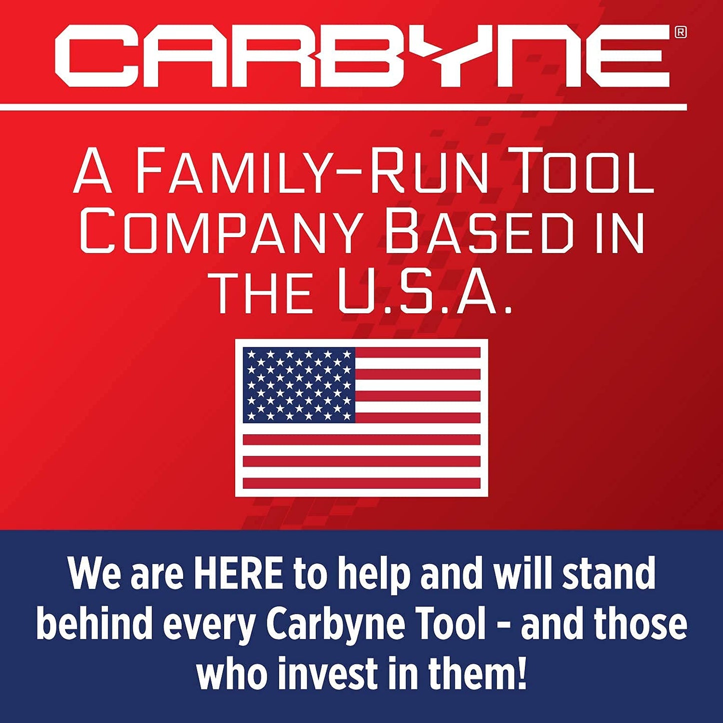 CARBYNE 62-Piece Master Torx Bit Socket Set & External (eTorx) Socket Set, Includes T6 - T70, TT6 - TT70, TP8 - TP60, E4 - E24| S2 Steel Bits, Cr-V Sockets, Durable Case | 1/4, 3/8, & 1/2 in. Drive