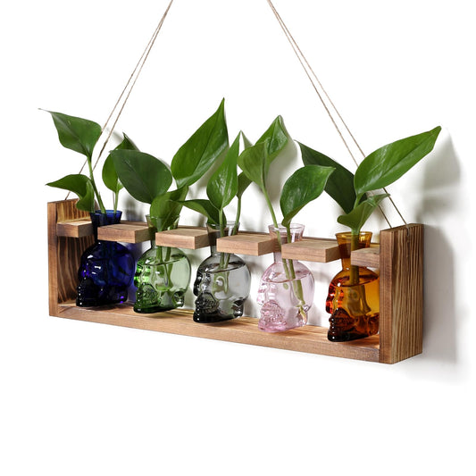 Plant Terrarium Propagation Stations Halloween Skull Planter Vase Skulls Decor with Wooden Stand Gife for Father - 5 Vases