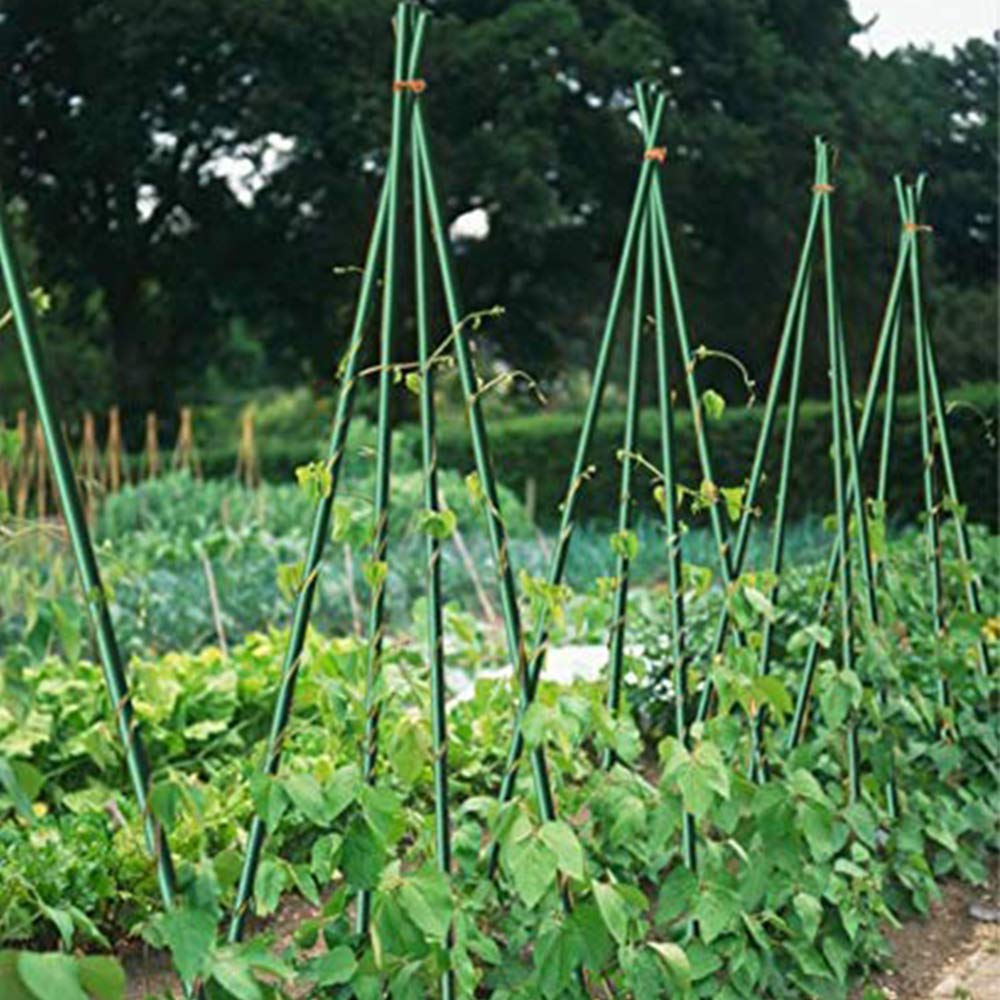 Growsun 4ft Garden Stakes Metal Plastic Coated Plant Cage Supports Tomato Stakes Trellis Climbing for Tomatoes,Trees,Cucumber,Fences,Beans,25 Pack