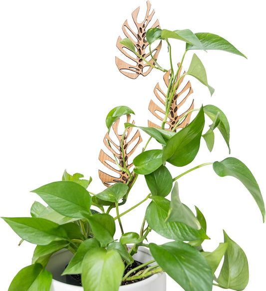 Treleaf Monstrella Wall Clips – Set of 3 Wooden Trellises for Indoor Climbing Plants – Self-Adhesive Plant Wall Fixtures to Create Green Walls – Perfect for Pothos & Vining Houseplants