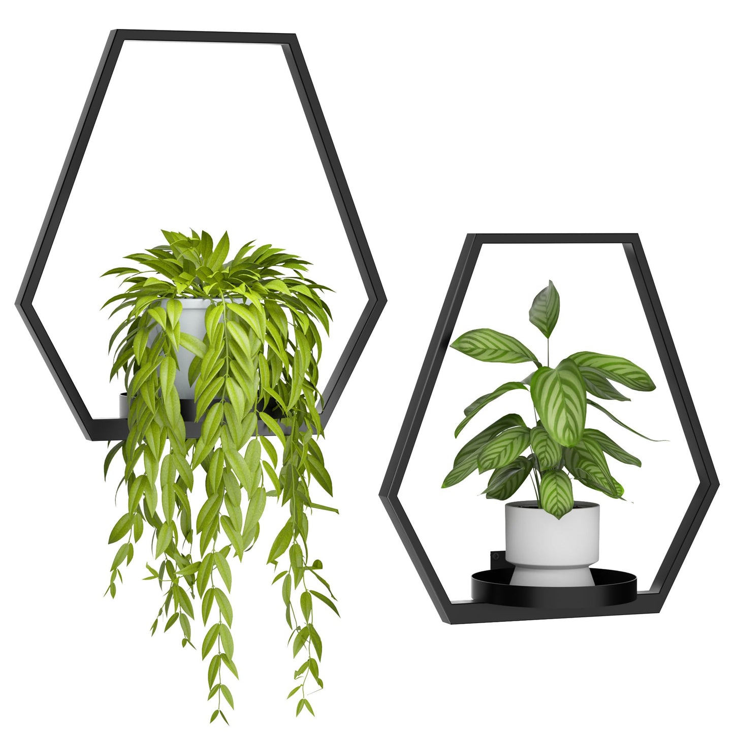 DEMEGA Wall Planters for Indoor Plants, Plant Frames Wall Decor Living Room Plant Stand Hanging Wall Plants Holder to Hold Large Pots Wall Plant Hanger Window Plant Shelves for Outdoor Entryway
