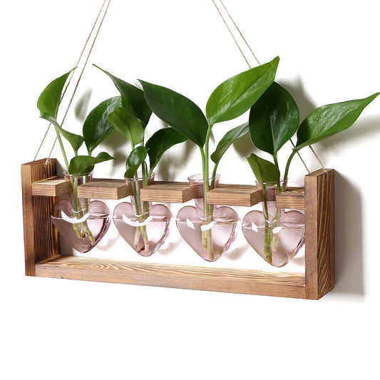 CYZglass Heart Plant Terrarium Kit Gift for Women Plant Lover Glass Vases
