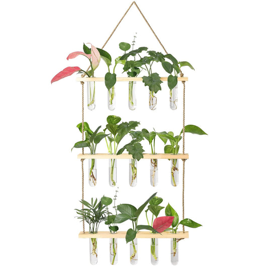 XXXFLOWER Wall Hanging Propagation Station with Wooden Stand 5 Glass Test Tubes 3 Tiers Planters Wall Terrarium for Home Office Plant Hanger Flower Vases Wall Decor Hydroponic Cuttings