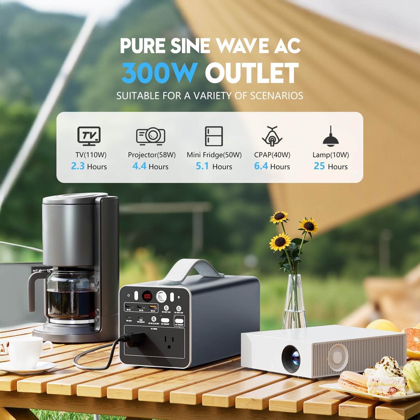 300W Portable Power Station, 299.7Wh Portable Laptop Charger with AC Outlet, Dual Way 65W PD/USB-C Port, Battery Pack Power Supply, Solar Generator for Outdoor Camping Home