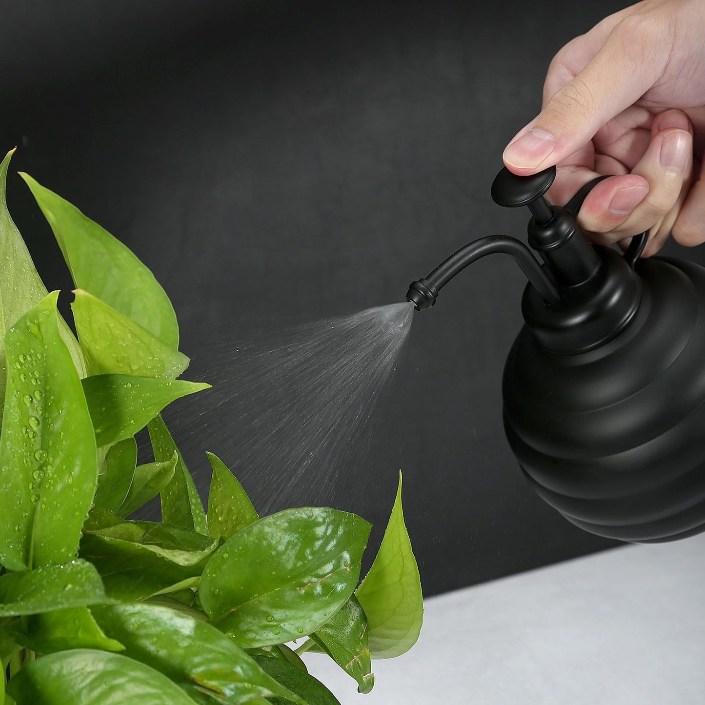 Lianshi Plant Mister Spray Bottle, 500ml/17oz, Vintage Style Water Sprayer (Black)