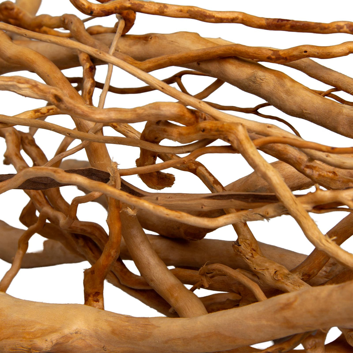 emours Natural Aquarium Driftwood, [170g] (20–40 cm /8–16 in) - Unique Root/Spider Wood Branches for Aquascaping, Planted Tanks & Terrariums, Fish & Plants Decoration, Each Piece One-of-a-Kind(Mixed)