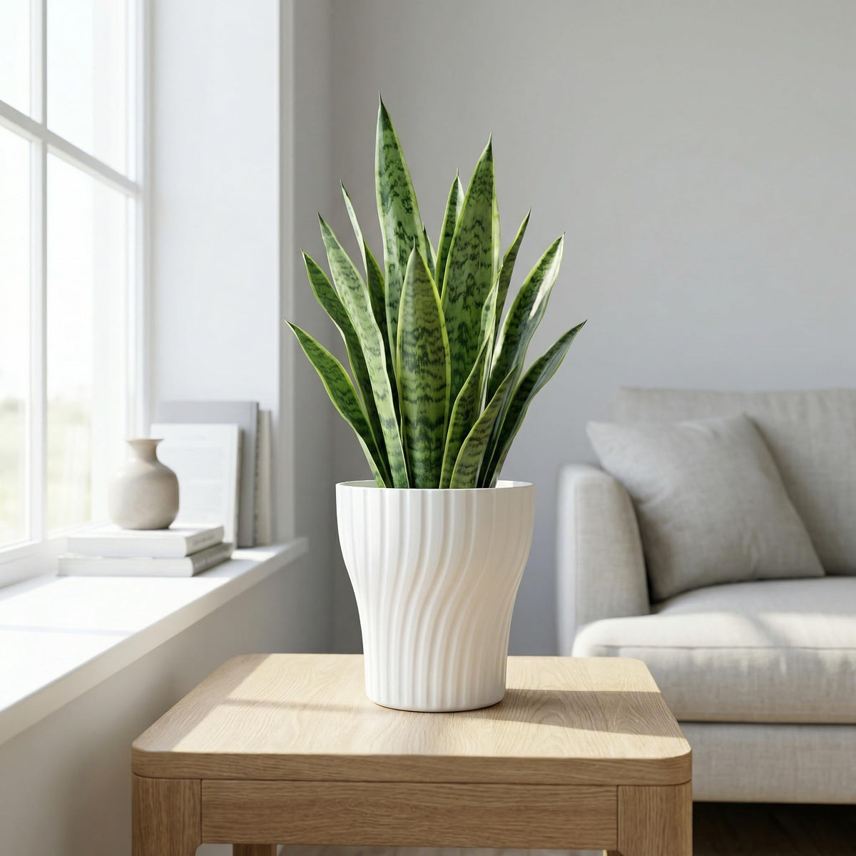 zvsgwj Self-Watering Plant Pots with Wick, Rotating Pattern Planters with Drainage & Inner Pot for Desk Living Room Bedroom Home Decor, 6.3 Inch 2-Pack in White & Clear