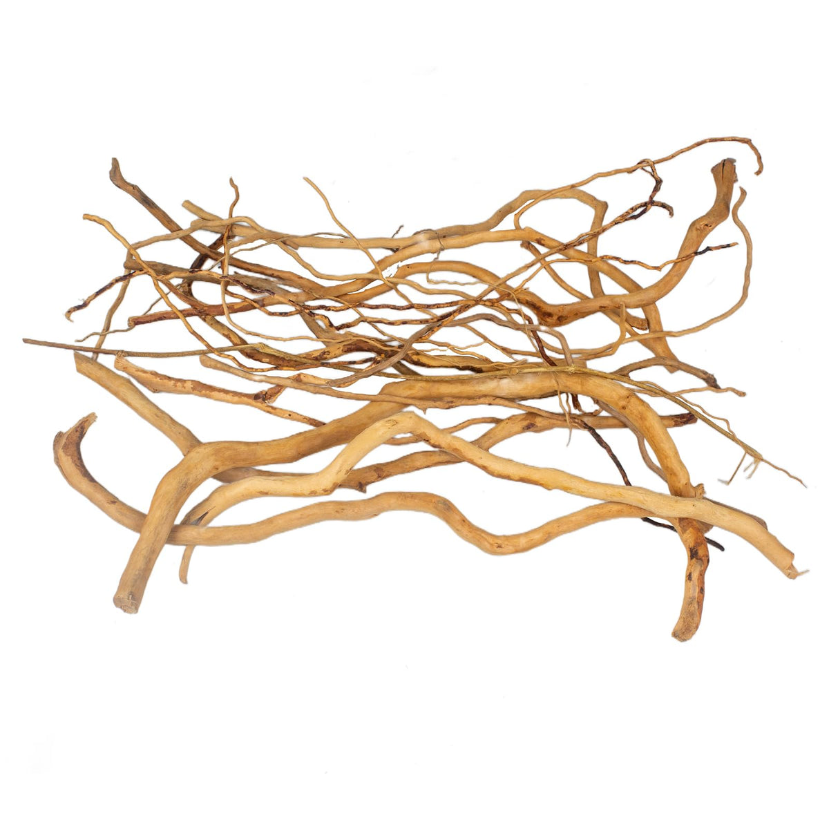 emours Natural Aquarium Driftwood, [170g] (20–40 cm /8–16 in) - Unique Root/Spider Wood Branches for Aquascaping, Planted Tanks & Terrariums, Fish & Plants Decoration, Each Piece One-of-a-Kind(Mixed)