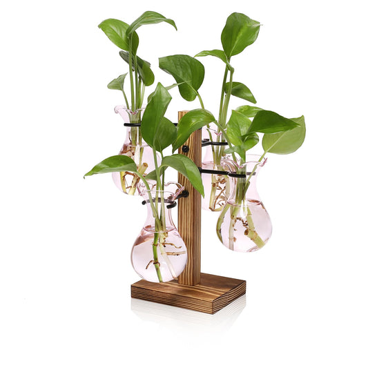 Plants Propagation Stations Bulb Glass Propagation Birthday Gift for Women Garden Plant Lovers - 4 Bulb