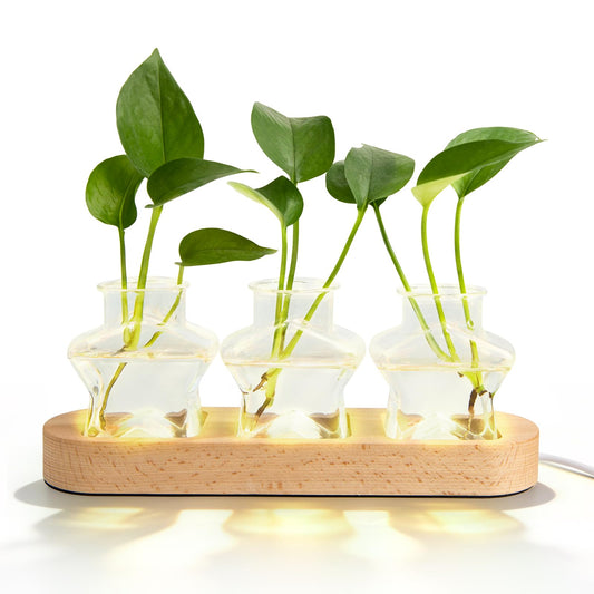 XXXFLOWER Plant Propagation Station with LED Light, Wooden Base Glass Terrarium & Lighted Vase, Hydroponic Planter Terrarium for Home Desk Decor, Ideal Gifts for Gardeners & Plant Lovers(3 Star Vases)