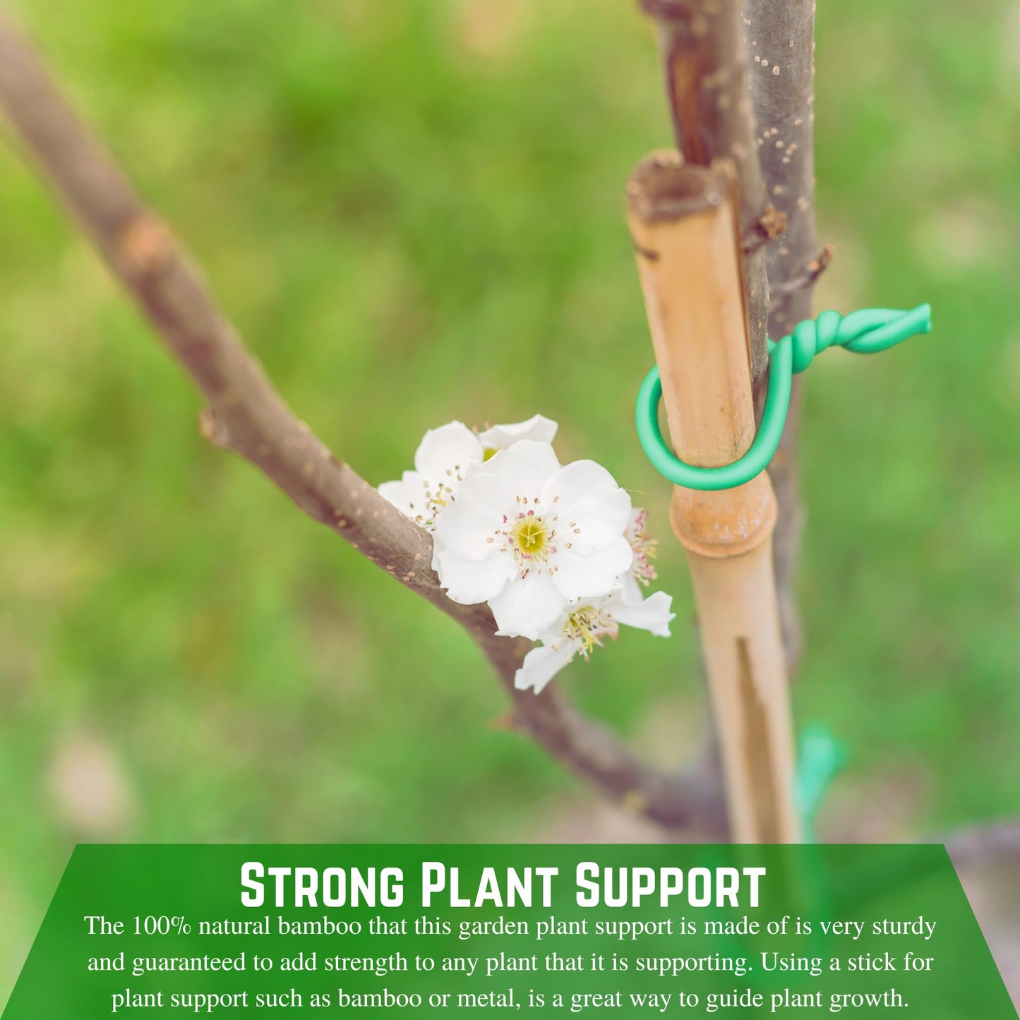 Farm Plastic Supply - Bamboo Garden Stakes - Bambo Sticks, Bamboo Plant Stakes for Outdoor Plants, Plant Support Stakes for Indoor Plants (7 Foot, 25)