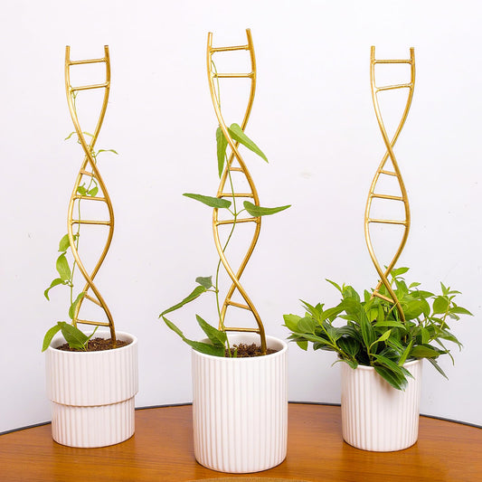 GOOOXIM Indoor Plant Trellis for Potted Plants - Durable Metal Climbing Trellis with Unique DNA Spiral Design for Vining Plants, Easy Installation for Indoor & Outdoor Use
