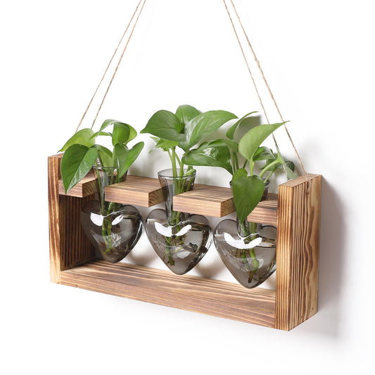 Plant Terrarium Propagation Stations Hydroponics Home Garden Decoration Gift for Women with Wooden Stand Heart Shaped Colored Glass Vase